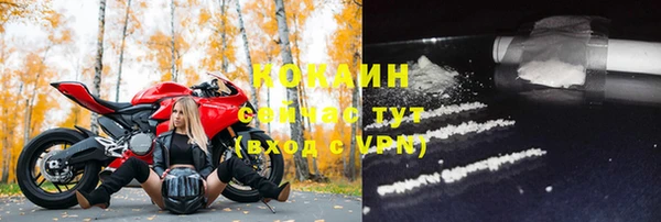 крисы Касимов
